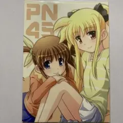 PN45 なのは　全年齢向け同人誌