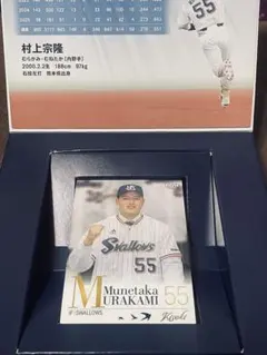 Item thumbnail for item 3b532d5a-b73e-4796-964e-fdcc567c8a3b