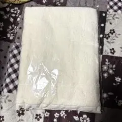 Item thumbnail for item ad2d701b-df79-4d07-a25a-9869b9d69a00