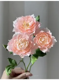 入手困難！挿し木バラ苗