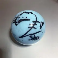 向井康二さん サインボール 2405954772.jpg?1729339912
