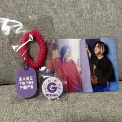 GLAY HISASHI ぬいぐるみ バッジ クリアポスター GLAY 30th Anniversary HISASHI グッズセット - メルカリ