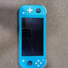 カ*タ様 Nintendo Switch Lite ターコイズ