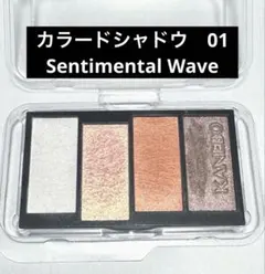 KANEBO カラードシャドウ　01 Sentimental Wave レフィル