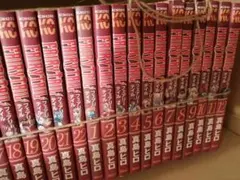 フェアリーテイル 全巻セット