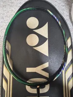 アストロクス99 リーチョンウェイモデル アストロクス99 リーチョンウェイモデル