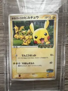ポケパークのピカチュウ PROMO 043/PCG-P 未開封　高騰中 ポケパークのピカチュウ (プロモ) {043/PCG-P} [PCG] - magi通販