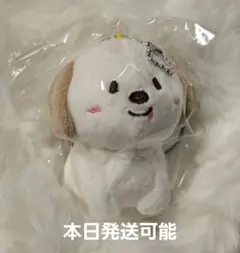 RIIZE アントン モンリョンイ 10cm ドール キーリング