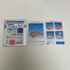 サンリオ｜証明写真｜スマロイド｜ブロマイド｜KIRIMIちゃん