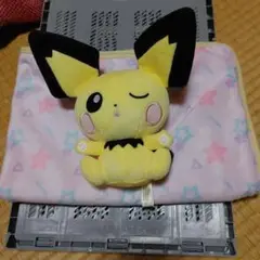 ポケモンセンターオリジナルミニブランケット抱きぬいぐるみ