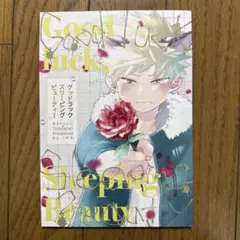♢ Good luck Sleeping Beauty ヒロアカ 漫画