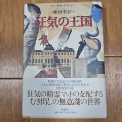 ziegfried様専用】ロンド・リーフレット 全原画集【大槍葦人】 - メルカリ