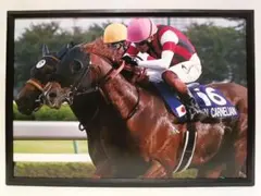 2025年最新】スプリンターズステークスの人気アイテム - メルカリ