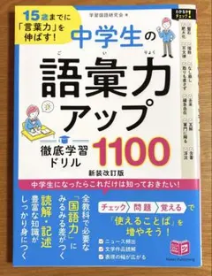 Item thumbnail for item c5fc0f5a-4fd8-47e2-bccc-5ba585c7e86b