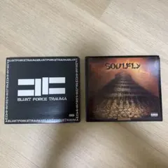 SOULFLY , Cavalera Conspiracy アルバム2枚セット