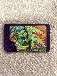 お買い得！ポケモン　フレンダ　オーガポン