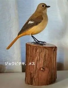 バードカービング ジョウビタキ、メス