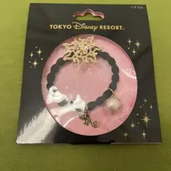 東京ディズニーリゾート ラプンツェル ヘアゴム