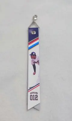 ヤクルトスワローズ　ファン感　2025　ボンフィン　廣澤投手