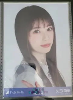 ❀乃木坂46 矢田萌華 生写真 14thBDライブTシャツ ヨリチュウ