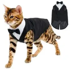 Item thumbnail for item d6cb6bee-7f8e-463a-b18f-0c6eccd0c5fc