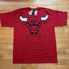 Lサイズ ミッチェル&ネス 東地区NBAチームロゴ 総柄プリント Tシャツ