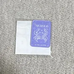 &TEAM NICHOLAS アクリルマグネット