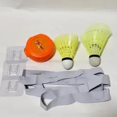 Item thumbnail for item 3b505285-4070-4efd-a776-0a8d4aa4650a