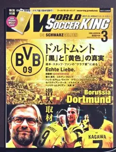 ワールドサッカーキング ドルトムント「黒」と「黄色」の真実