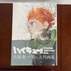 ハイキュー 画集 complete illustration book