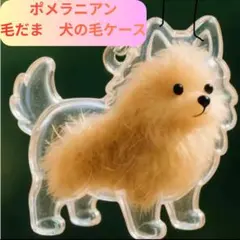 ポメラニアン （2）キーホルダー 毛玉 犬の毛 ケース 毛だま