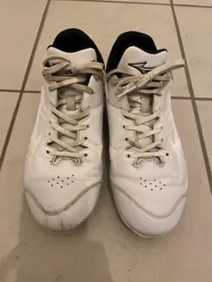 Item thumbnail for item db8bf44c-9425-4daa-87ab-fe585e852b95