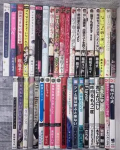 商業BLまとめ売り　BL漫画65冊【４】