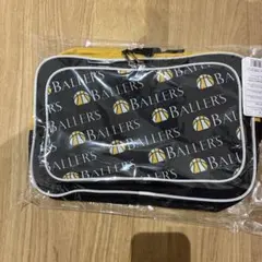 Item thumbnail for item 795cefca-5e77-47a3-aab2-18e3e7f97533