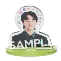 NCT NATION ランダムトイ　マーク　アクスタ