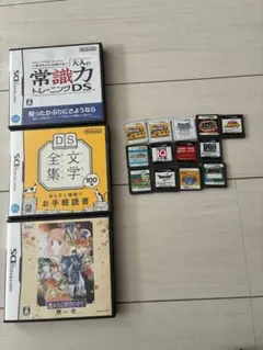 ニンテンドーDS ゲームソフトセット　動作未確認ジャンク