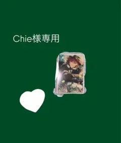 【Chie様専用】
