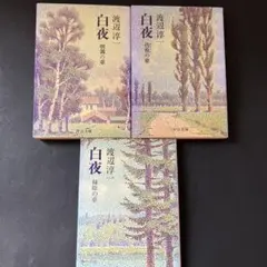 本まとめ売り　白夜　渡辺淳一　彷徨の章　朝霧の章　緑陰の章　中央公論社　中公文庫