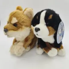 Item thumbnail for item 432a587a-2c19-4caa-99e0-86c4ac2227cb