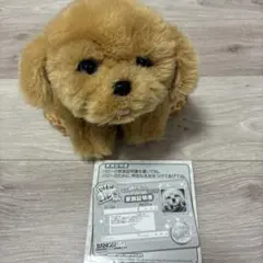 2026年最新】マイドリームパピーの人気アイテム - メルカリ