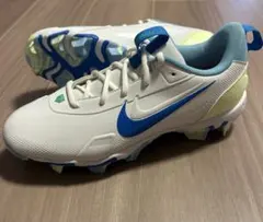 限定商品！NIKE ナイキ タイガー・ウッズ '13 26cm ゴルフシューズ