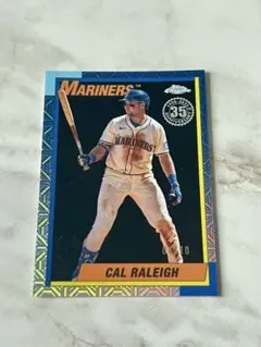 2025年最新】カル・ローリーの人気アイテム - メルカリ