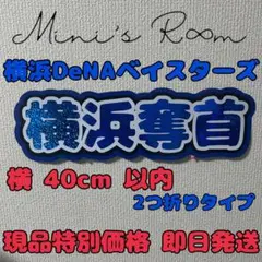 野球 横浜 ベイスターズ 応援ボード パネル 2025 スローガン 横浜奪首