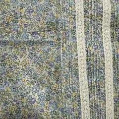 Item thumbnail for item 27c0c6ce-488d-4a03-94ea-d97203dc844b