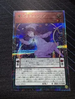 希少！アジア ネムレリア プリズマ 2026年最新】ネムレリア プリズマの人気アイテム - メルカリ