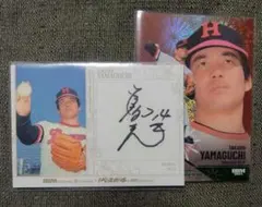 Item thumbnail for item 276f0167-a470-4819-bb01-41a6b0ad5b6e