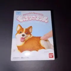 BANDAI もっちりころりん おいぬ コーギー　犬のサムネイル