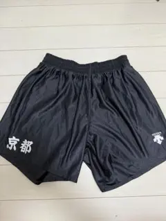 国体　県代表ゲームパンツ ゲームパンツ 2023年度 男子日本代表モデル V-NGP304｜Alpen Online