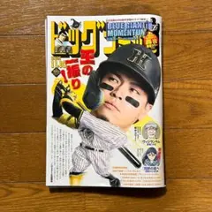 ビッグコミック 雑誌