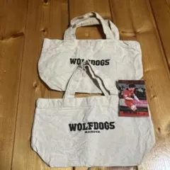 ウルフドッグスミニバッグ 西田選手カード